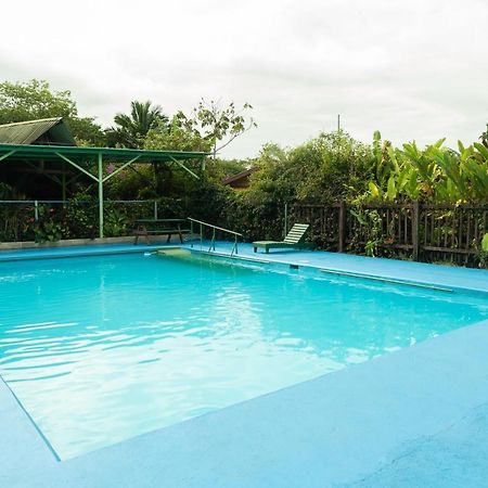 Cabanas El Bosque Turrialba Exterior foto
